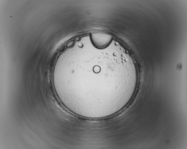 X0000115001402200911161526