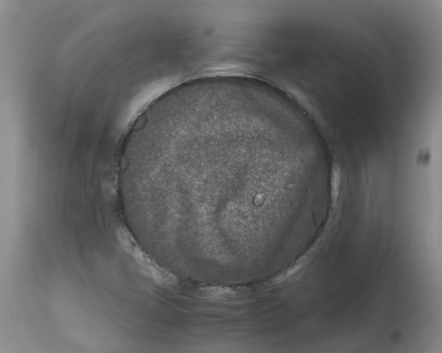 X0000115001405200911161526