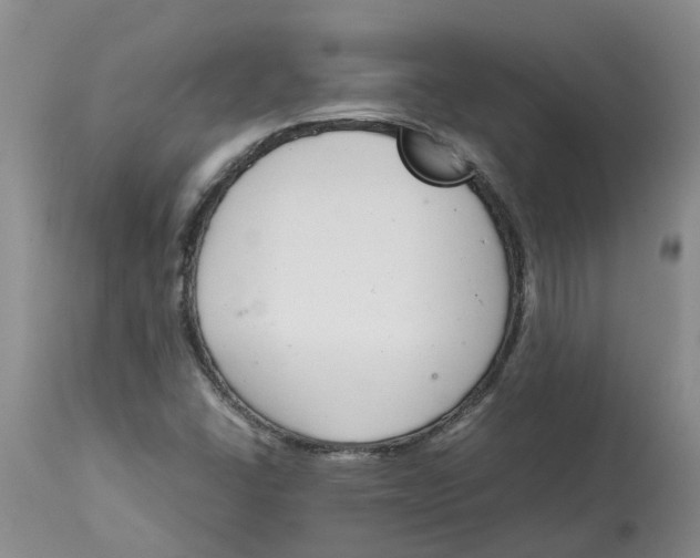 X0000115001406200911161526