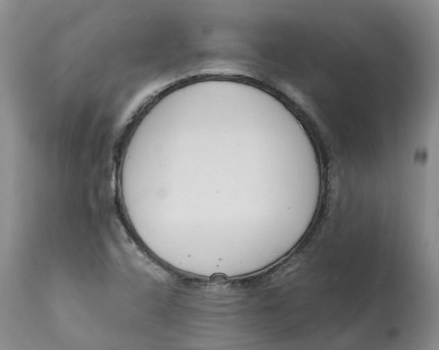 X0000115001408200911161526