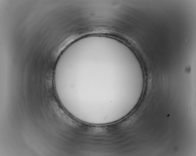 X0000115001409200911161526