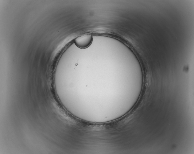 X0000115001410200911161526