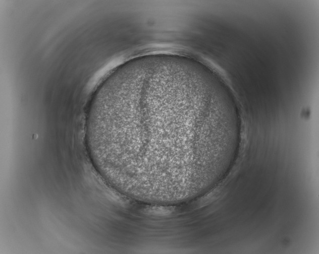 X0000115001411200911161526