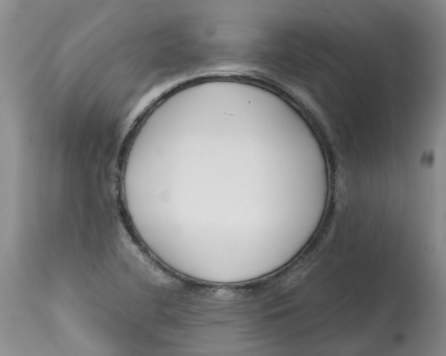 X0000115001412200911161526