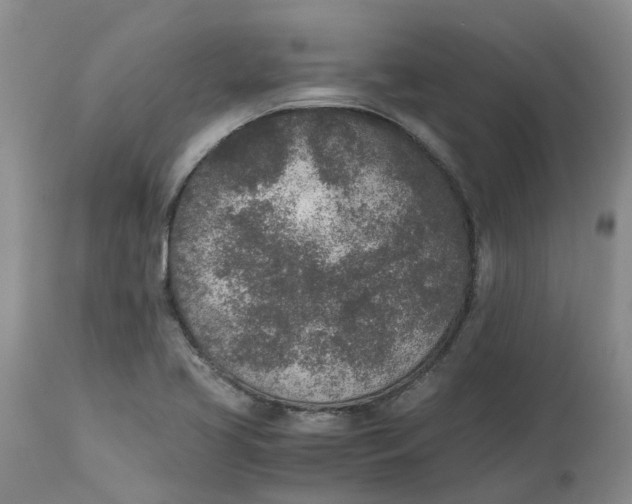 X0000115001413200911161526