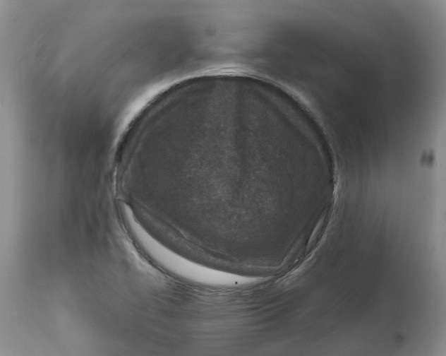 X0000115001414200911161526