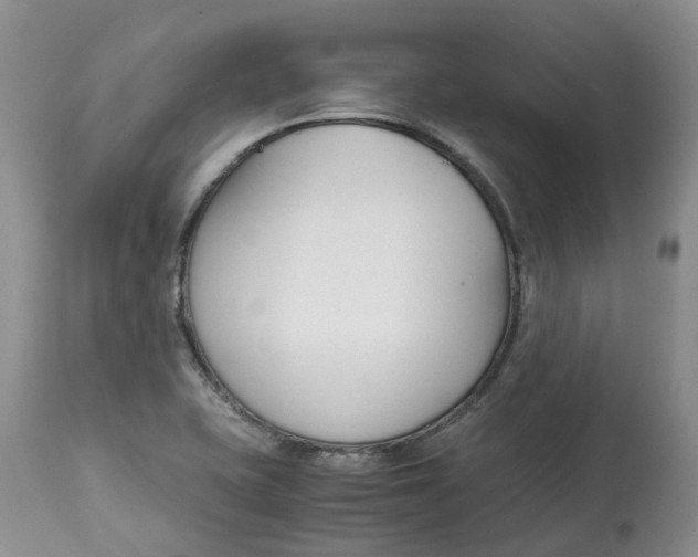 X0000115001415200911161526