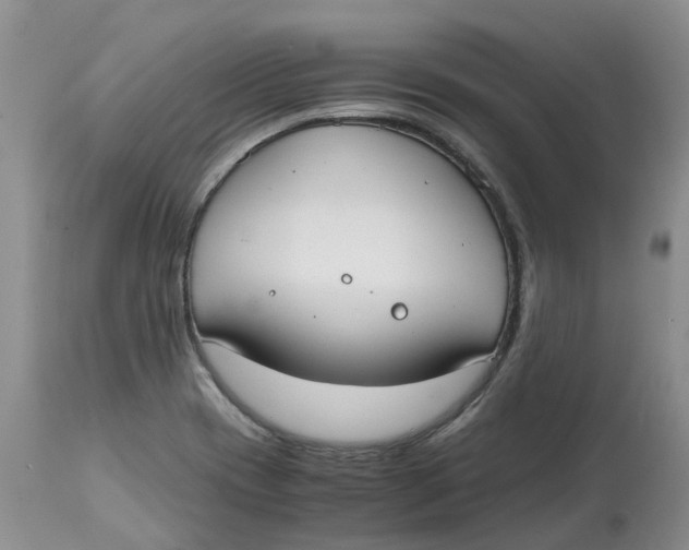 X0000115001417200911161526