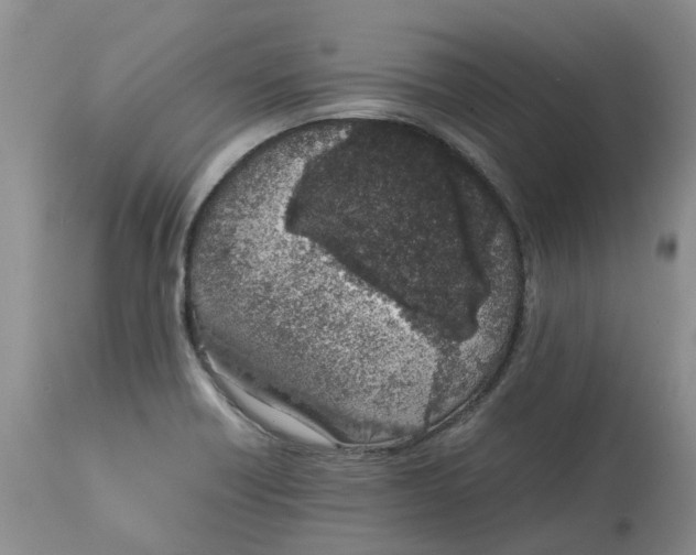 X0000115001418200911161526