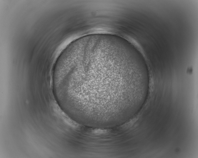 X0000115001419200911161526