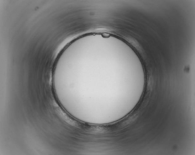 X0000115001420200911161526