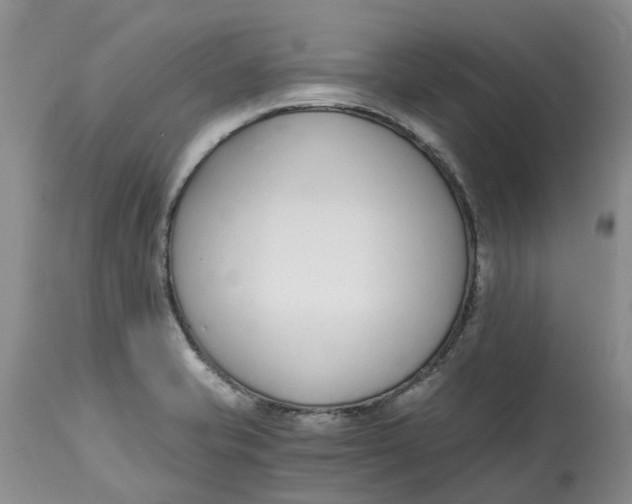 X0000115001421200911161526