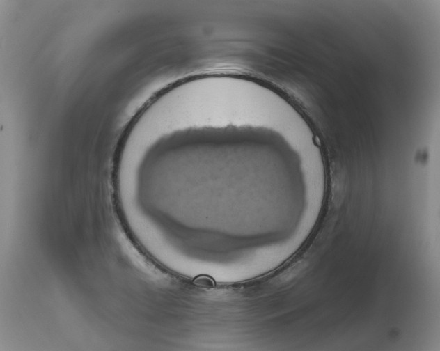 X0000115001422200911161526