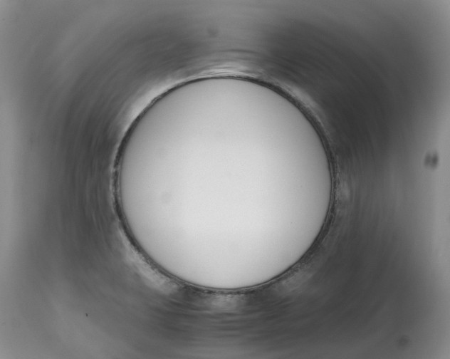 X0000115001423200911161526