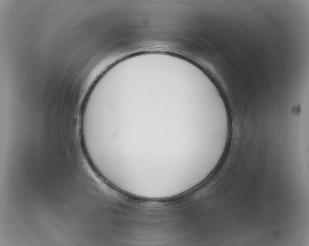 X0000115001424200911161526