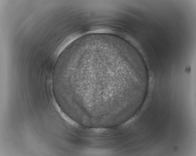 X0000115001425200911161526