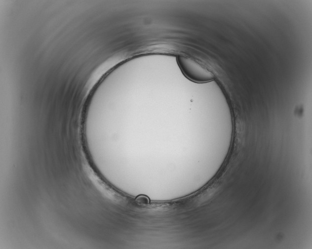 X0000115001426200911161526