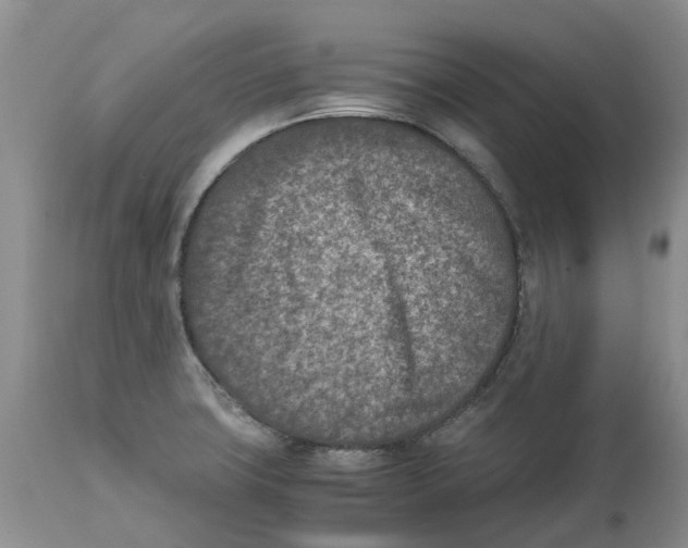 X0000115001427200911161526