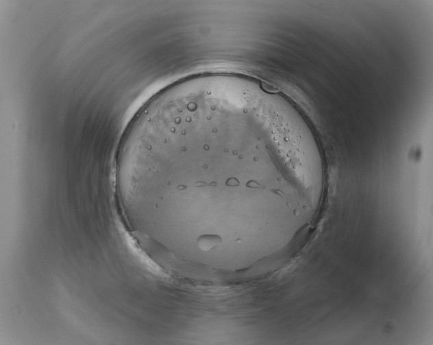 X0000115001428200911161526