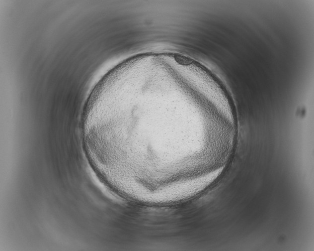 X0000115001429200911161526