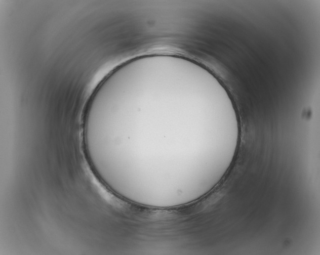 X0000115001430200911161526