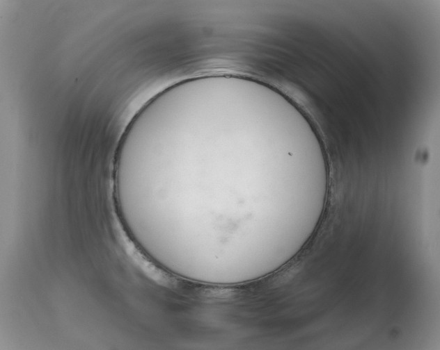 X0000115001431200911161526