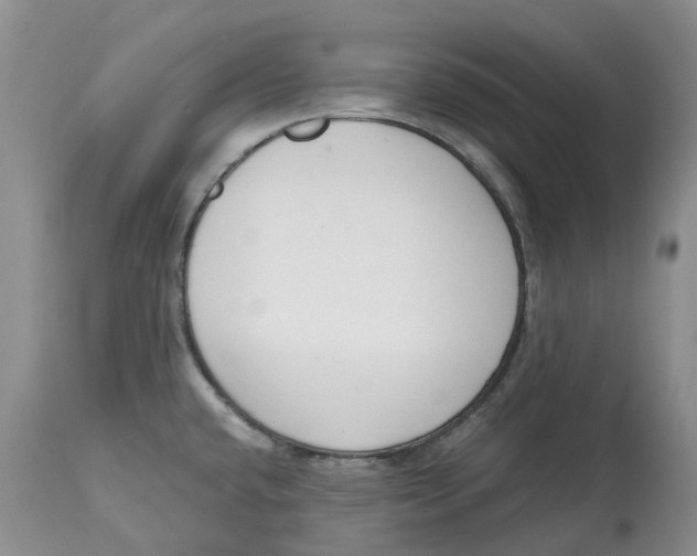 X0000115001432200911161526