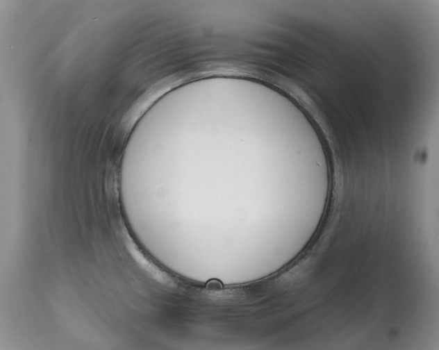 X0000115001433200911161526