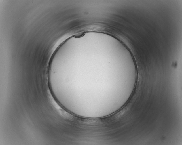 X0000115001434200911161526