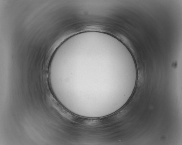 X0000115001435200911161526