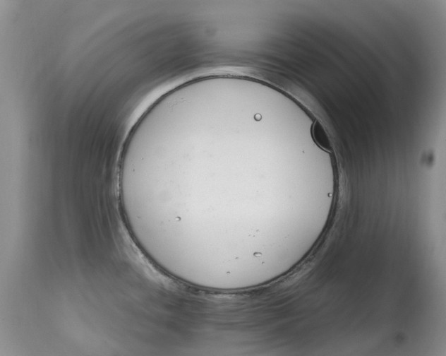 X0000115001436200911161526