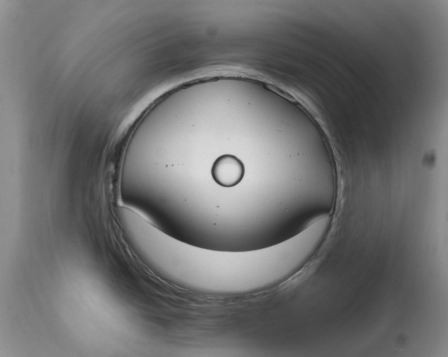 X0000115001438200911161527