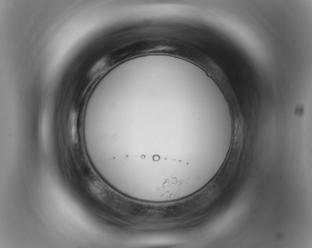 X0000115001439200911161527