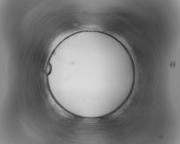 X0000115001440200911161527