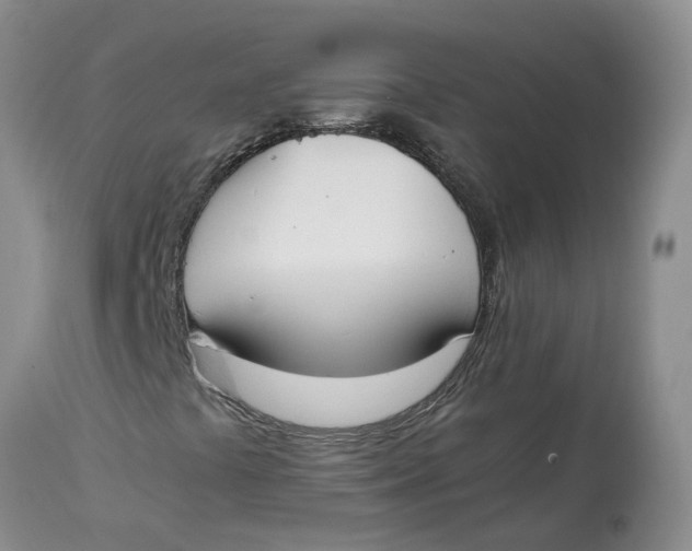 X0000115001441200911161526