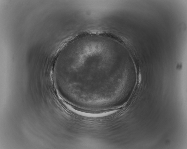 X0000115001444200911161526