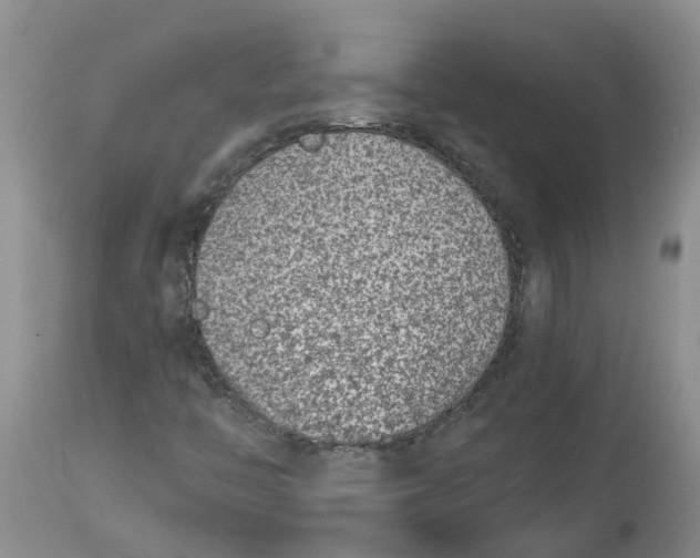 X0000115001446200911161526