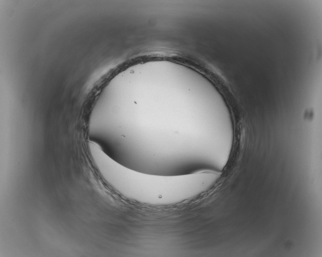 X0000115001448200911161526