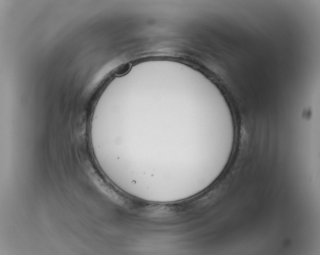 X0000115001450200911161526