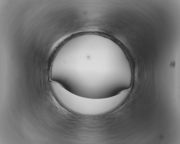 X0000115001452200911161526