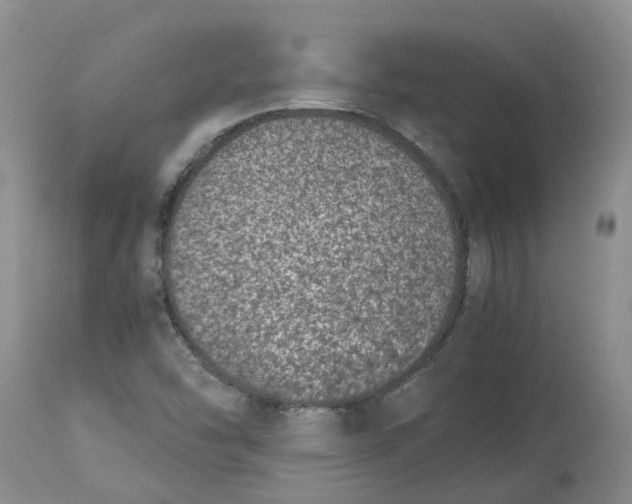 X0000115001454200911161526