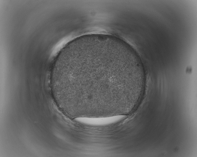 X0000115001455200911161526