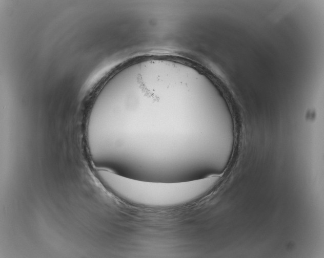 X0000115001456200911161526