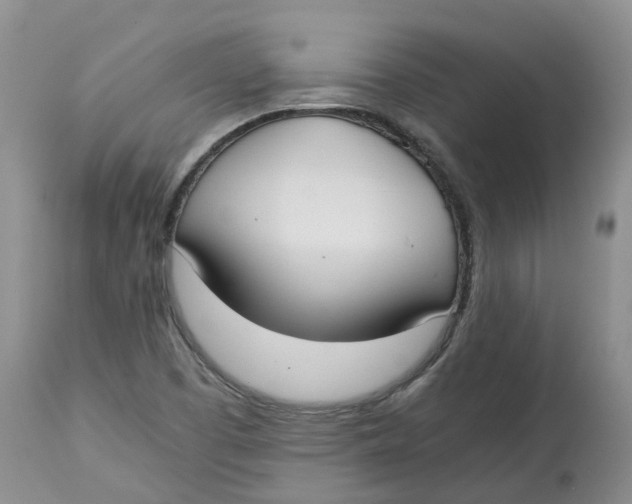 X0000115001457200911161526