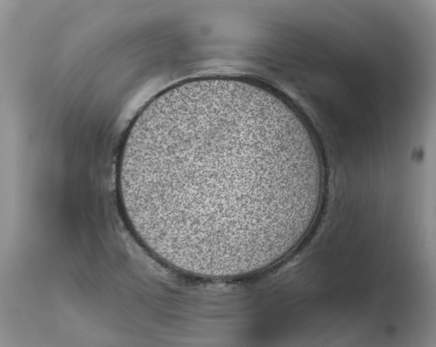 X0000115001459200911161526