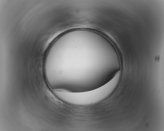 X0000115001460200911161526