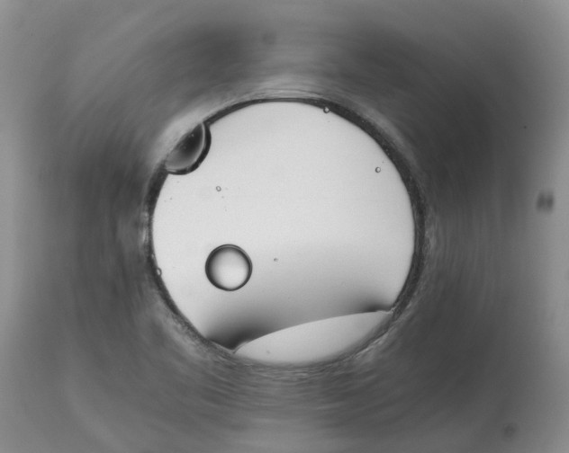 X0000115001461200911161526