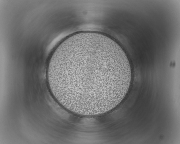 X0000115001462200911161526