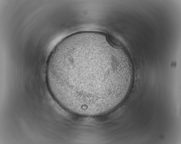 X0000115001463200911161526