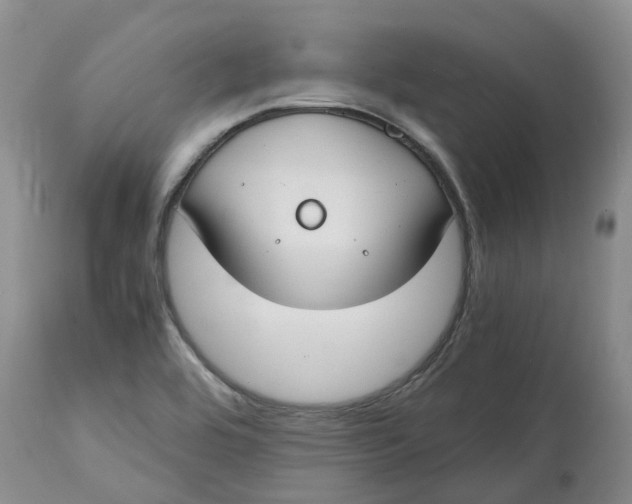 X0000115001464200911161526